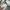 Puma Sportswear Casual Track jacket Pria gray photo 4