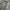 Puma Sportswear Casual Track jacket Pria gray photo 3
