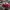 Adidas Streetwear Y2K Pria white red photo 5