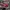 Adidas Streetwear Y2K Pria White Red