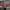 Adidas Streetwear Y2K Pria white red photo 1