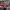 Adidas Streetwear Y2K Pria White Red