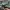 Adidas Skater Sportswear Sneakers Pria green white photo 4