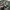 Adidas Skater Sportswear Sneakers Pria green white photo 3
