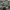 Adidas Skater Sportswear Sneakers Pria green white photo 1