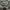 Adidas Skater Sportswear Sneakers Pria Green White