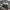 Adidas Skater Sportswear Sneakers Pria green white photo 5
