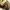 VINTAGE TIE'S PASCAL FIERO PARIS photo 6