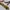 VINTAGE TIE'S PASCAL FIERO PARIS photo 4
