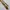 VINTAGE TIE'S PASCAL FIERO PARIS photo 2