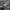 Adidas Streetwear Sportswear Sneakers Pria blue photo 3