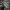 Adidas Skater Sportswear Sneakers Pria navy gray photo 3