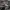 Adidas Skater Sportswear Sneakers Pria navy gray photo 2