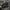 Adidas Skater Sportswear Sneakers Pria white black photo 6