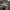 Adidas Skater Sportswear Sneakers Pria white black photo 2