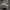 Adidas Skater Sportswear Sneakers Pria white black photo 1