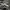 Adidas Skater Sportswear Sneakers Pria White Black