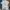 Neighborhood Streetwear Sportswear T-shirt Pria multicolor photo 1