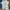 Neighborhood Streetwear Sportswear T-shirt Pria Multicolor