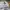 Neighborhood Streetwear Sportswear T-shirt Pria multicolor photo 3