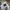 Neighborhood Streetwear Sportswear T-shirt Pria multicolor photo 5