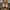 Timberland Coquette Boots Pria tan photo 3