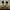 Timberland Coquette Boots Pria tan photo 5