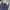 Dickies Minimalist Formal pants Pria navy photo 4