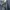 Dickies Minimalist Formal pants Pria blue photo 3
