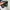 Vans Y2K Casual Casual shoe Pria green black photo 3