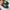 Vans Y2K Casual Casual shoe Pria green black photo 1