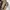 Vans Y2K Casual Casual shoe Pria green black photo 4