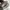 Onitsuka Tiger Y2K Casual Casual shoe Pria brown photo 5