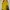 Pancoat Casual Sweater Pria multicolor photo 4