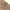 Carhartt Vintage Avant Garde Dungaree Pria tan brown photo 4