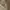 Carhartt Vintage Avant Garde Dungaree Pria tan brown photo 7