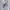 Vintage Streetwear T-shirt Pria gray photo 3