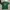 Hanes Vintage Streetwear T-shirt Pria green photo 1