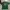 Hanes Vintage Streetwear T-shirt Pria Green