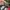 47 Brand Streetwear Sportswear Hat Pria multicolor photo 3