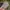 47 Brand Streetwear Sportswear Hat Pria multicolor photo 1