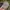 47 Brand Streetwear Sportswear Hat Pria Multicolor