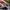 47 Brand Streetwear Sportswear Hat Pria multicolor photo 4