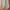 Streetwear Gorpcore Tracksuit Pria blue gray photo 4