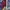 Coogi Streetwear Y2K Cardigan Pria multicolor photo 5