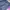 GAP Vintage Casual Casual pants Pria navy photo 5