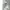 Columbia Sportswear Casual Tracksuit Pria multicolor photo 4
