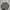 Dickies Streetwear Sportswear Sweater Pria Gray