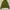 American Apparel Sportswear Casual Track jacket Pria khaki photo 1