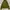 American Apparel Sportswear Casual Track Jacket Pria Khaki